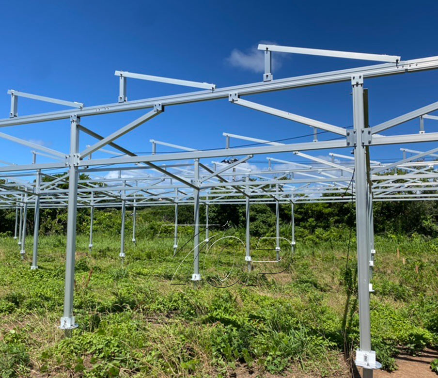 TopEnergy cung cấp giải kết cấu tấm pin năng lượng mặt trời cho hơn 20 trang trại tại Nhật Bản